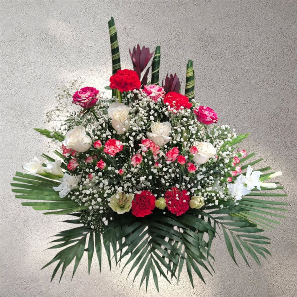 Instagram post from anga.plantasornamentales. This post is in position 1.