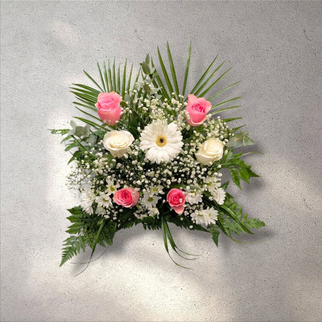 Instagram post from anga.plantasornamentales. This post is in position 5.