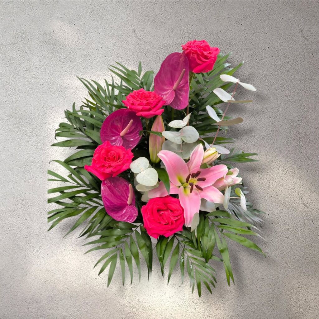 Instagram post from anga.plantasornamentales. This post is in position 12.