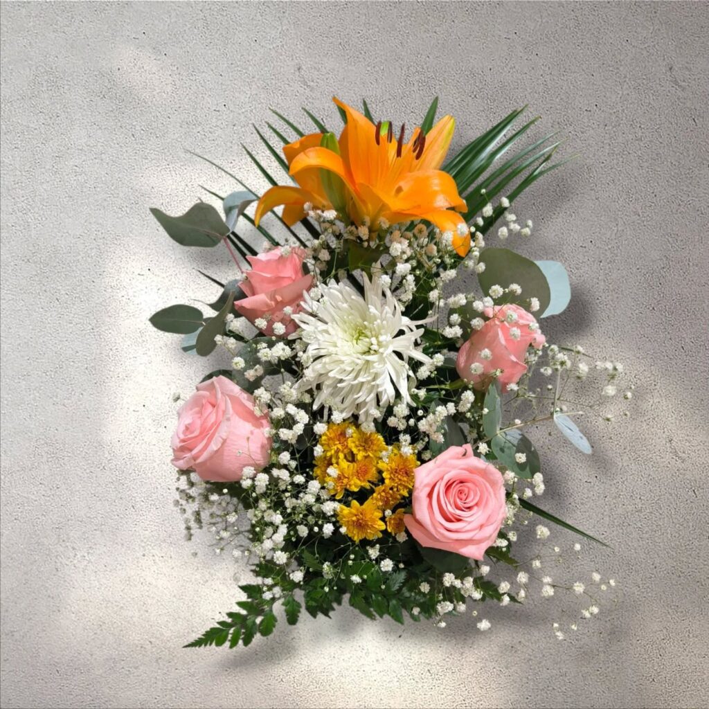 Instagram post from anga.plantasornamentales. This post is in position 15.