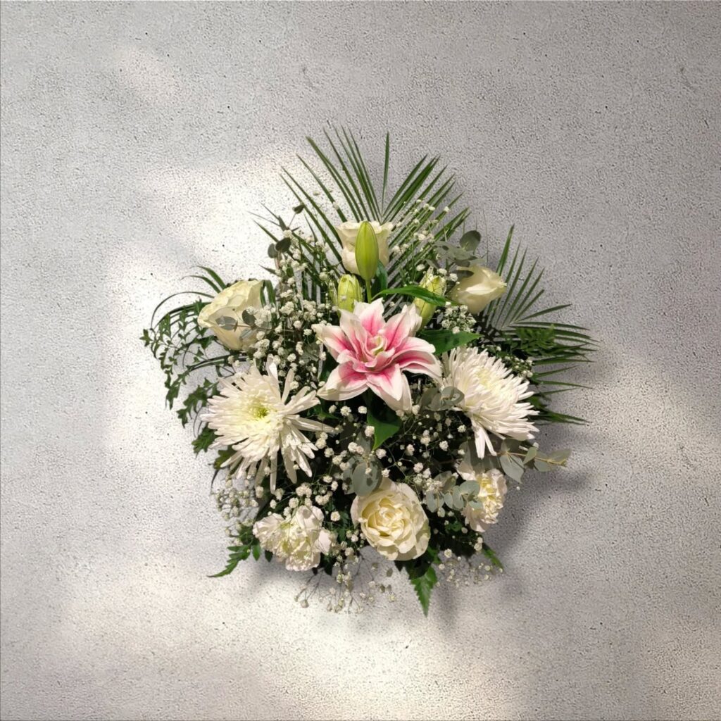 Instagram post from anga.plantasornamentales. This post is in position 12.