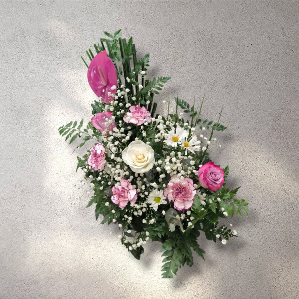 Instagram post from anga.plantasornamentales. This post is in position 2.