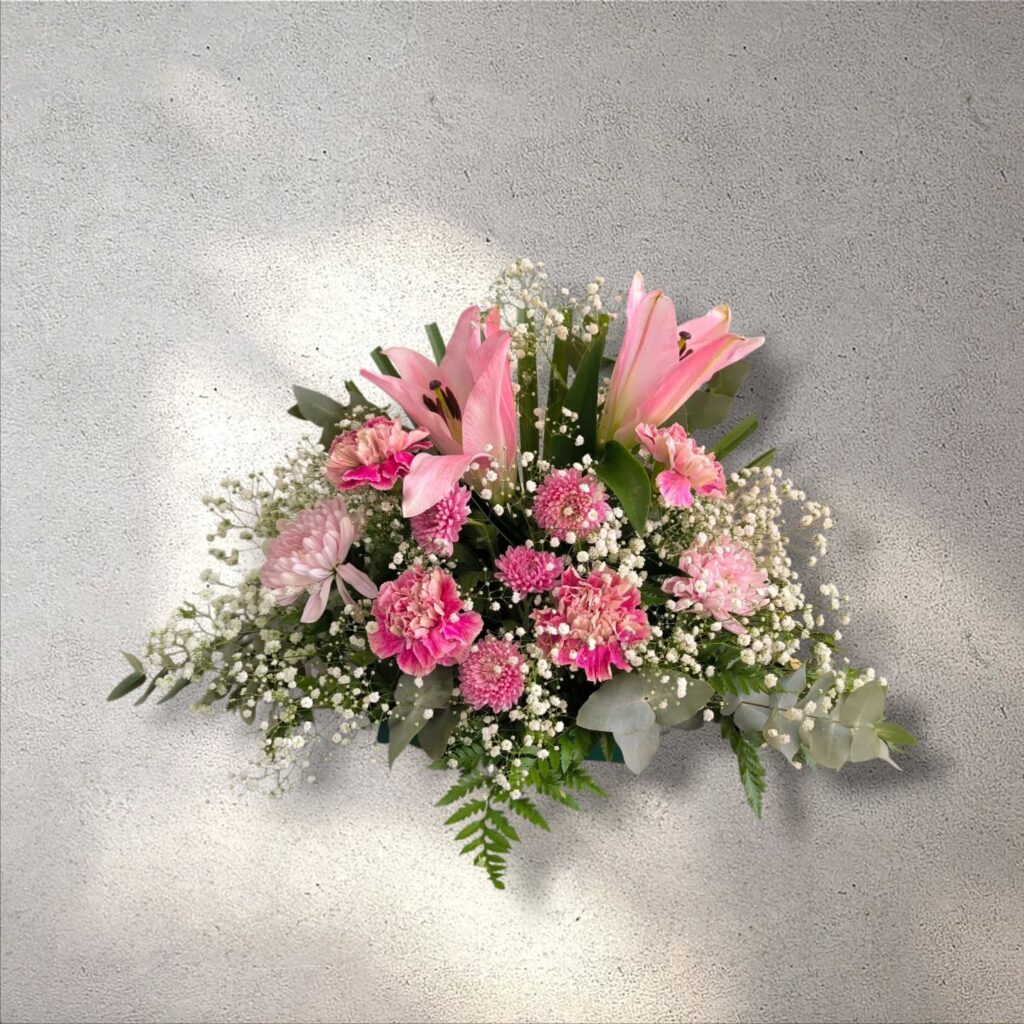 Instagram post from anga.plantasornamentales. This post is in position 11.